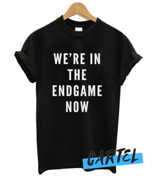 We're in the Endgame Now awesome T Shirt