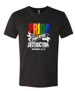 Pride Comes Before Destruction Christian DH T Shirt