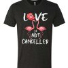 Love Is Not Cancelled - Flamingos Lovers graphic T Shirt