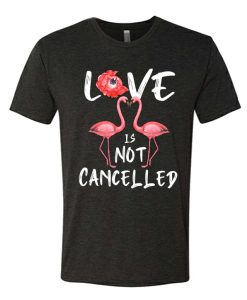 Love Is Not Cancelled - Flamingos Lovers graphic T Shirt
