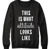 This Is What Attitude Looks Like graphic Sweatshirt